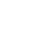 Learning Institute